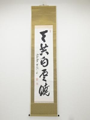 黄檗宗萬福寺阿部禅梁筆　「天共白雲暁」一行書　肉筆紙本掛軸（共箱）